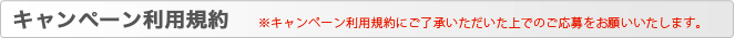 キャンペーン利用規約　※キャンペーン利用規約にご了承いただいた上でのご応募をお願いいたします。