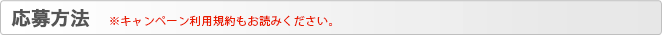 応募方法 ※キャンペーン利用規約もお読みください。