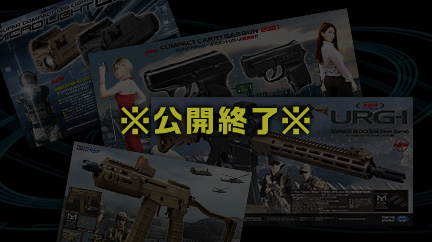 公開終了