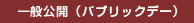 一般公開（パブリックデー）