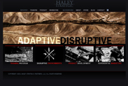 HALAY STRATEGIC社ウェブサイト