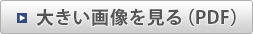 大きい画像を見る（PDF）